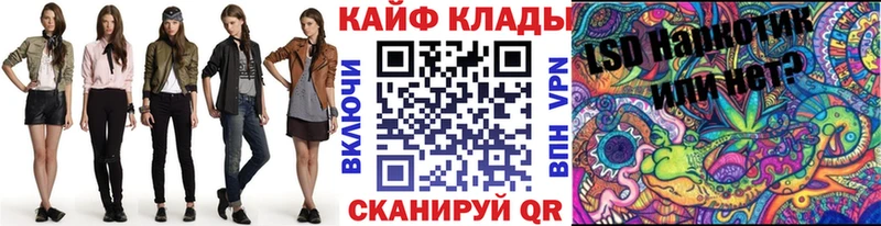 Как найти наркотики Алейск Cocaine  МЕФ  A-PVP  ГАШ 