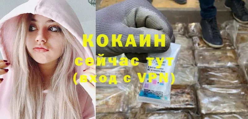 Cocaine FishScale  Алейск 