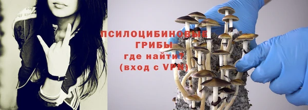 мескалин Покров