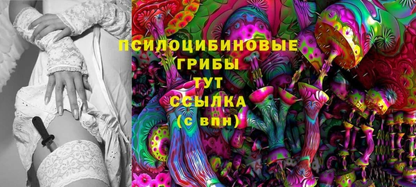 прущая мука Приозерск