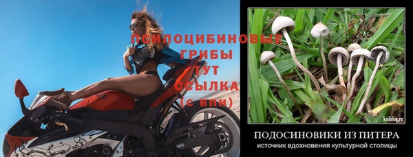 кокаин колумбия Пролетарск