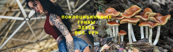 кокаин премиум Ростов