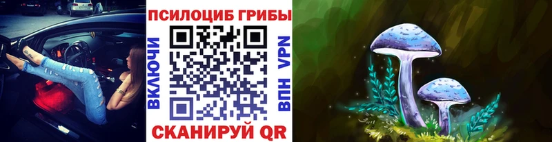 Галлюциногенные грибы мицелий  купить   Алейск 