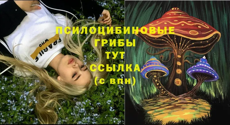 Галлюциногенные грибы ЛСД  KRAKEN ссылки  Алейск 