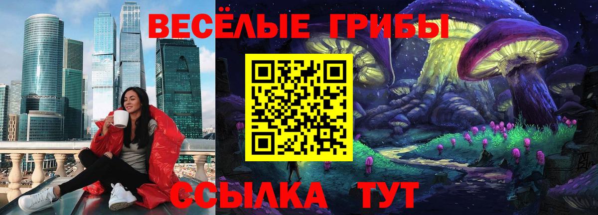 Галлюциногенные грибы MAGIC MUSHROOMS  Алейск 