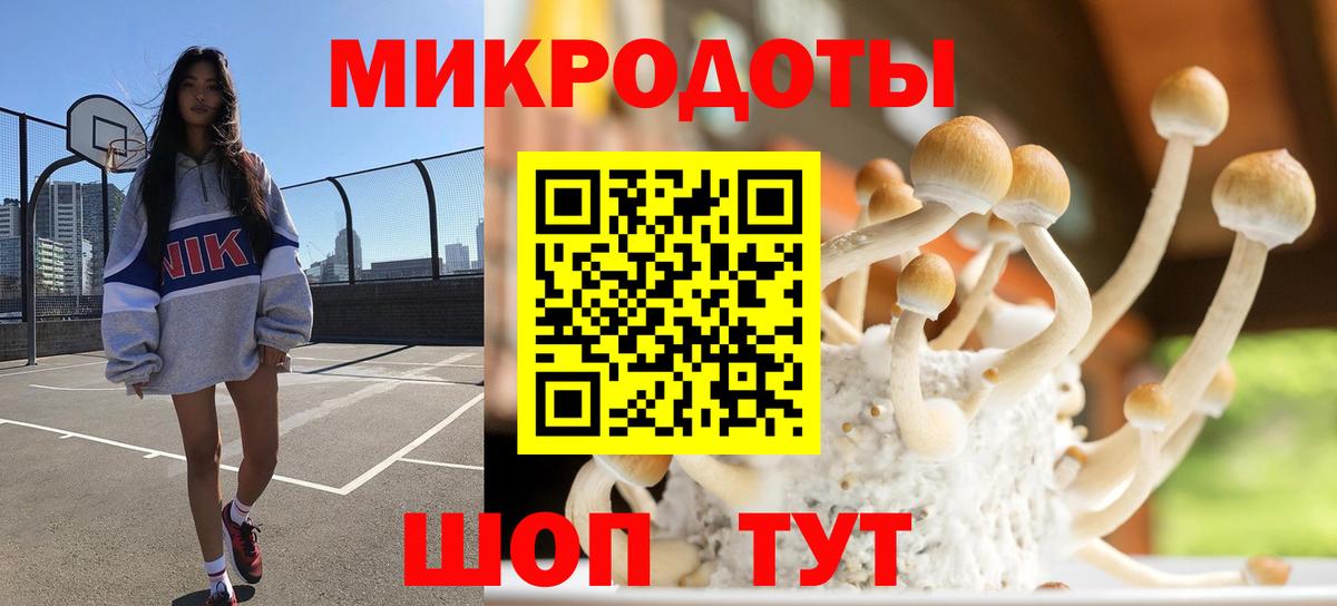 Псилоцибиновые грибы GOLDEN TEACHER  Вход с VPN  Алейск 
