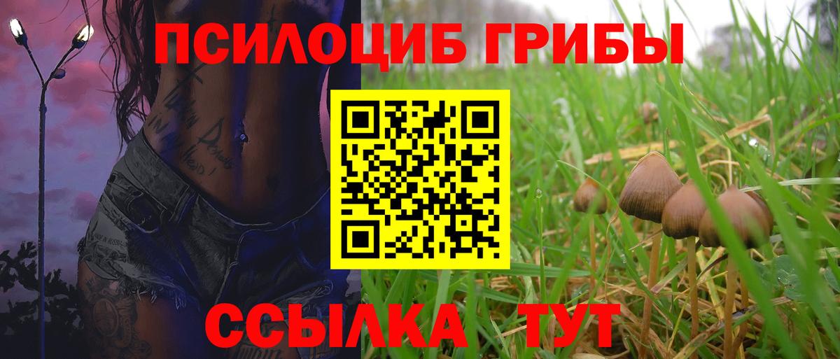 Галлюциногенные грибы мухоморы Алейск